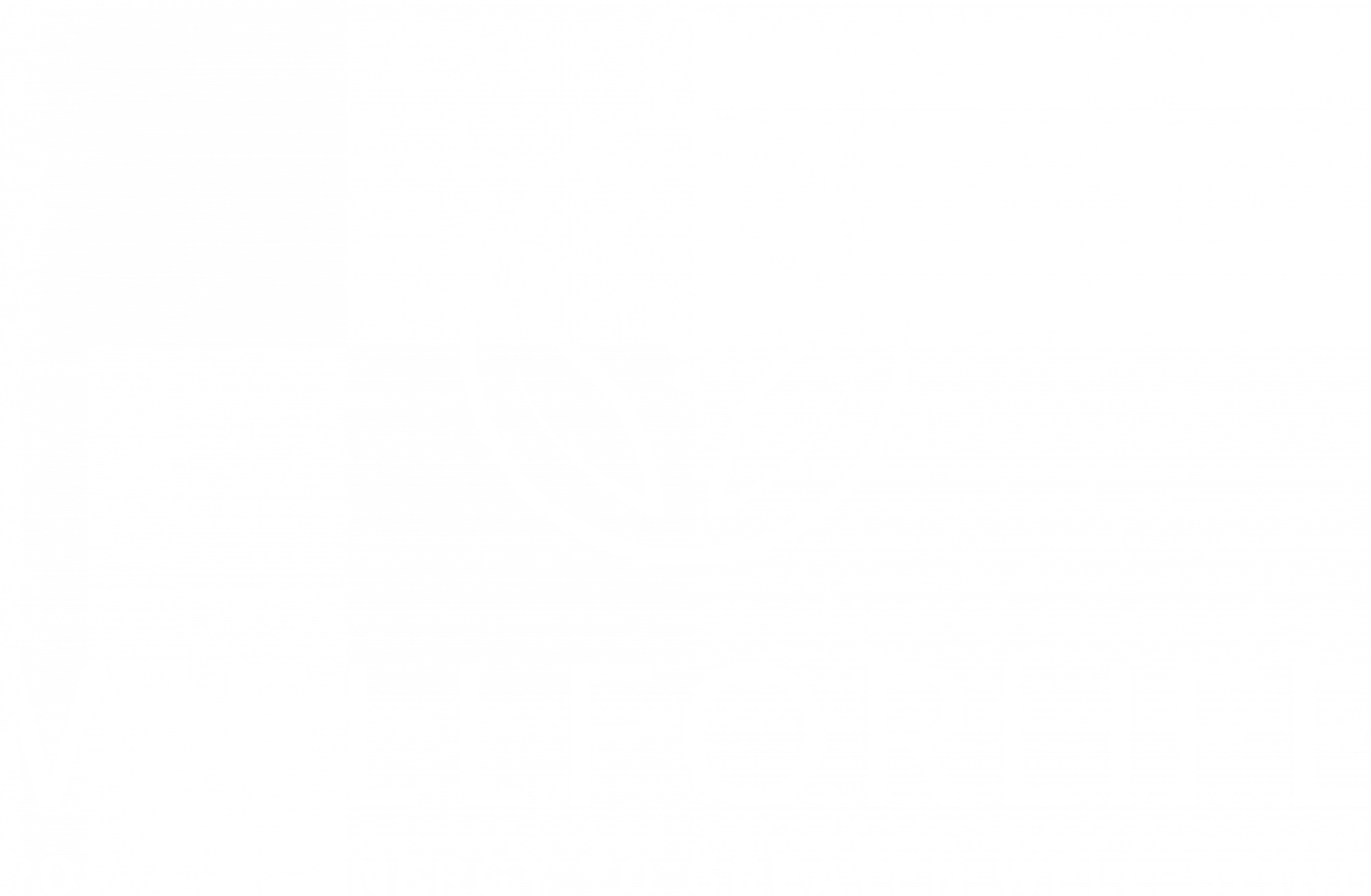 Logo Wellforlife - Positive Energy to create well being - Blanc